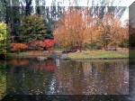 Jardin Japonais de Hasselt