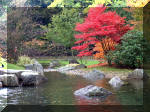 Jardin Japonais de Hasselt