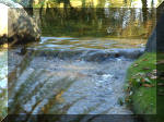 Jardin Japonais de Hasselt