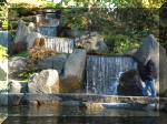 Jardin Japonais de Hasselt