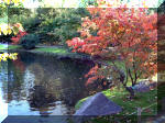 Jardin Japonais de Hasselt