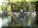 Jardin Japonais de Hasselt