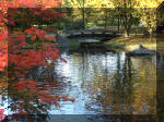 Jardin Japonais de Hasselt