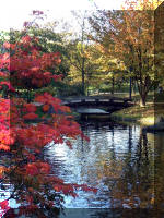 Jardin Japonais de Hasselt