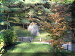 Jardin Japonais de Hasselt