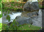 Jardin Japonais de Hasselt