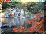 Jardin Japonais de Hasselt