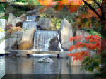 Jardin Japonais de Hasselt