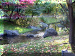 Jardin Japonais de Hasselt