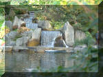 Jardin Japonais de Hasselt