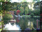 Jardin Japonais de Hasselt