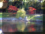 Jardin Japonais de Hasselt