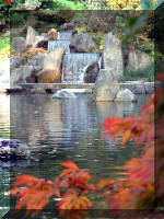 Jardin Japonais de Hasselt