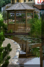 JARDIN AQUATIQUE 9  10 