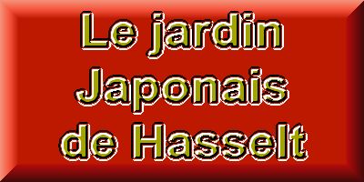 Le jardin Japonais de Hasselt - le printemps 3  1 