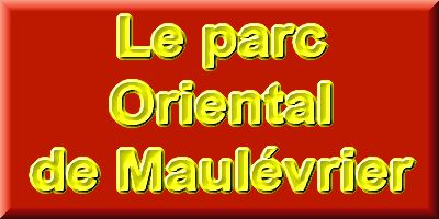 Le parc Oriental de Maulvrier en 2009 - visite du parc page 4  1 