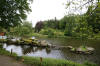 Le parc Oriental de Maulévrier en 2009 - visite du parc page 2  40 