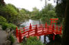 Le parc Oriental de Maulévrier en 2009 - visite du parc page 2  39 