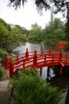 Le parc Oriental de Maulévrier en 2009 - visite du parc page 2  29 