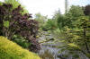 Le parc Oriental de Maulévrier en 2009 - visite du parc page 2  38 