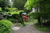 Le parc Oriental de Maulévrier en 2009 - visite du parc page 2  34 