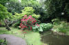 Le parc Oriental de Maulévrier en 2009 - visite du parc page 2  33 