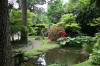 Le parc Oriental de Maulévrier en 2009 - visite du parc page 2  32 