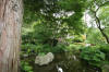Le parc Oriental de Maulévrier en 2009 - visite du parc page 2  30 