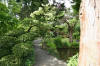 Le parc Oriental de Maulévrier en 2009 - visite du parc page 2  27 