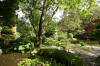 Le parc Oriental de Maulévrier en 2009 - visite du parc page 2  26 