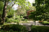 Le parc Oriental de Maulévrier en 2009 - visite du parc page 2  25 