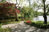 Le parc Oriental de Maulévrier en 2009 - visite du parc page 2  24 