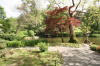 Le parc Oriental de Maulévrier en 2009 - visite du parc page 2  23 