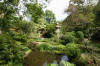 Le parc Oriental de Maulévrier en 2009 - visite du parc page 2  22 