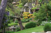 Le parc Oriental de Maulévrier en 2009 - visite du parc page 2  4 