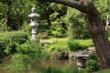 Le parc Oriental de Maulévrier en 2009 - visite du parc page 2  2 