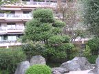 jardin japonais de monaco