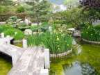 jardin japonais de monaco