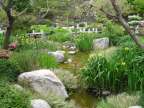 jardin japonais de monaco