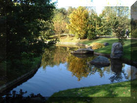 Jardin japonais d'Hasselt couleurs d'automne 1  7 