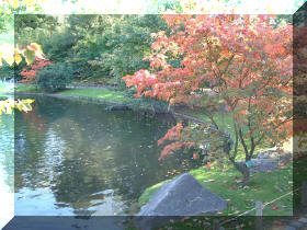 Jardin japonais d'Hasselt couleurs d'automne 1  4 