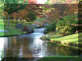 Jardin japonais d'Hasselt couleurs d'automne 1  5 