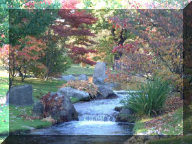 Jardin japonais d'Hasselt couleurs d'automne 1  8 