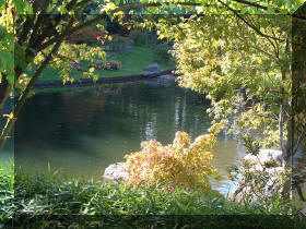Jardin japonais d'Hasselt couleurs d'automne 1  9 