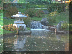 Jardin japonais d'Hasselt couleurs d'automne 1  10 