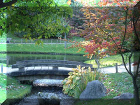 Jardin japonais d'Hasselt couleurs d'automne 2  10 