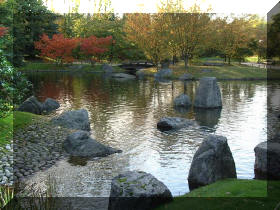 Jardin japonais d'Hasselt couleurs d'automne 2  1 