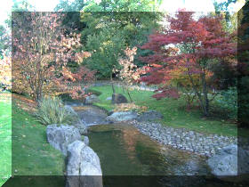 Jardin japonais d'Hasselt couleurs d'automne 2  5 