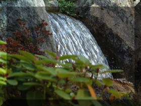 Jardin japonais d'Hasselt couleurs d'automne 2  9 