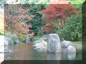 Jardin japonais d'Hasselt couleurs d'automne 2  2 